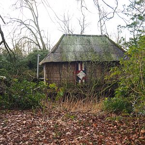 Great white pelican house, 2022-01-30