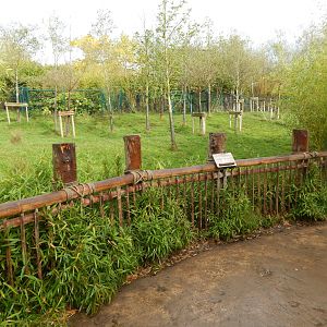 Islands - Malayan tapir enclosure 221022