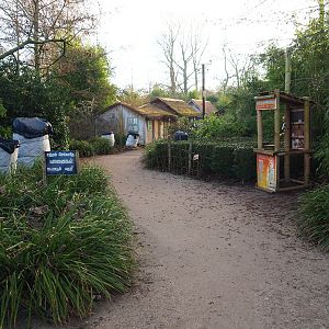 Indian village with tea plantation and banana planters in winter packaging, 2022-01-30