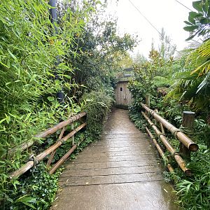 Islands - Larger aviary 221022