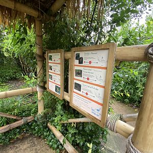 Islands - Larger aviary 221022