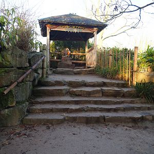 Small Asian elephant viewing area with Ganesha statue, 2022-01-30