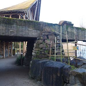 Lower Asian elephant viewing area, 2022-01-30