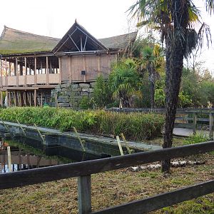 Asian elephant viewing area, 2022-01-30