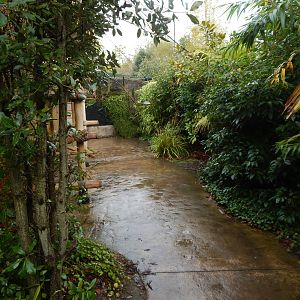 Islands - Larger aviary 221022