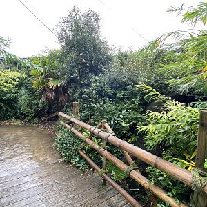 Islands - Larger aviary 221022