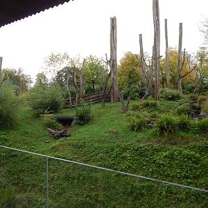 Islands - Larger aviary 221022