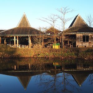 Asian-themed eating area in front of restaurant, 2022-01-30