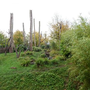Islands - Sun bear enclosure 221022