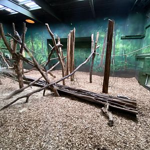 Islands - Sun bear enclosure 221022