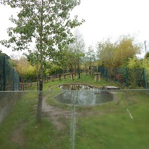 Islands - Malayan tapir enclosure 221022