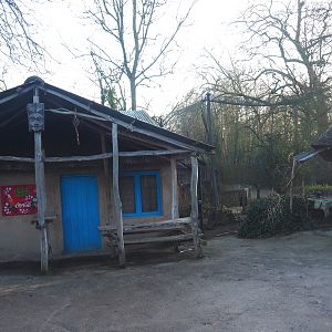 African village buildings and weaver aviary, 2022-01-30