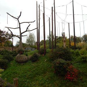 Islands - Sumatran orangutan enclosure 221022