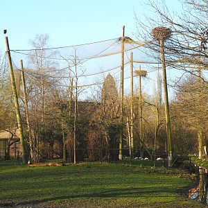 African waterfront aviary, 2022-01-30