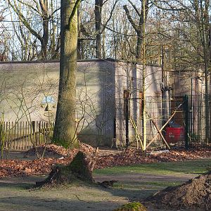 Capybara and South American primate building, 2022-01-30