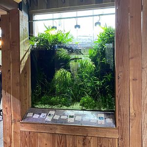 Islands - Monsoon Forest - Fish exhibit 221022