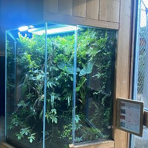 Islands - Monsoon Forest - Mixed exhibit 221022