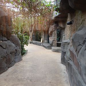 Islands - Monsoon Forest 221022