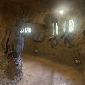 Islands - Monsoon Forest 221022