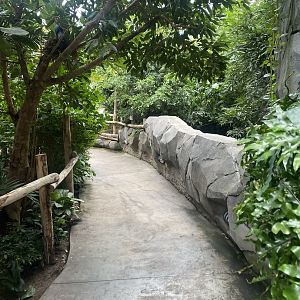 Islands - Monsoon Forest 221022