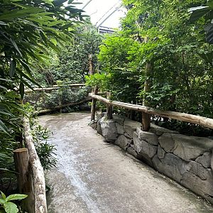 Islands - Monsoon Forest 221022