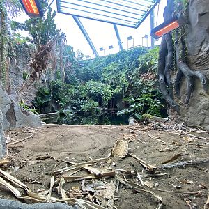 Islands - Monsoon Forest - False gharial exhibit 221022