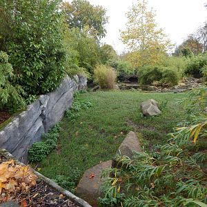 Islands - Sulawesi babirusa enclosure 221022