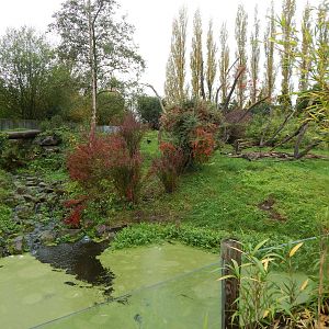 Spectacled bear enclosure 221022