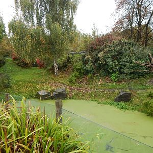 Spectacled bear enclosure 221022