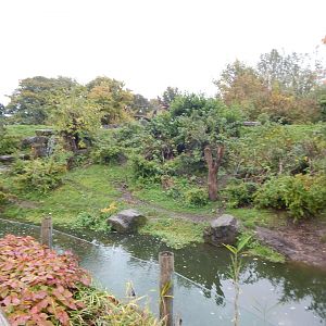 Spectacled bear enclosure 221022