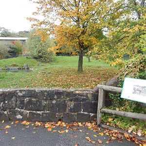 South American tapir enclosure 221022