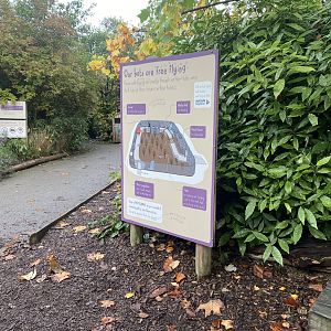 Sign for bats 221022