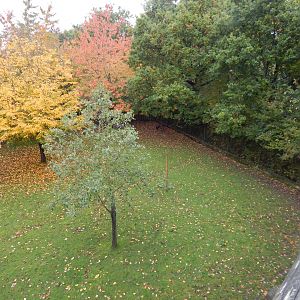 Visayan spotted deer enclosure 221022
