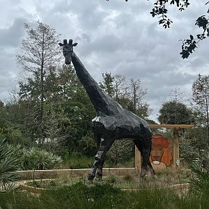 Zoo Art