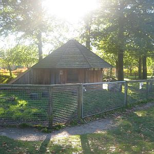 Vejen Anlæg - Goat exhibit