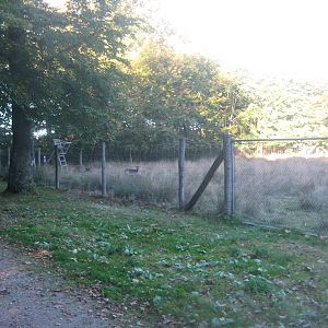 Vejen Anlæg - Deer exhibit