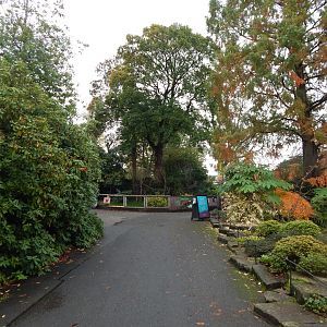 View towards Red panda enclosure 221022