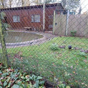 Wetland Bird Nursery 221022