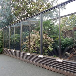 Aviaries 221022