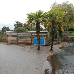 Giant otter enclosure 221022