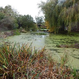 Giant otter enclosure 221022