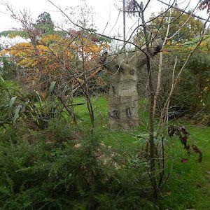 Madagascar - Coquerel's sifaka enclosure 221022
