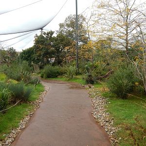 Madagascar Walkthrough 221022