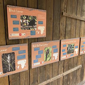 Madagascar Walkthrough inhabitants 221022