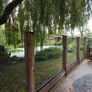 Giant otter enclosure 221022