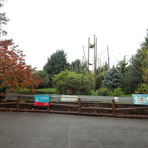 Chimpanzee enclosure 221022