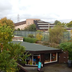 View from Realm of the Red Ape entrance ramp 221022