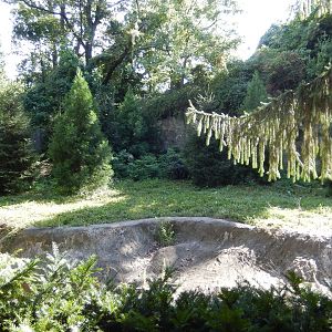 8/12/2022 - Dhole Exhibit