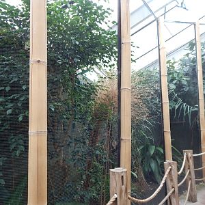 Realm of the Red Ape aviary 221022