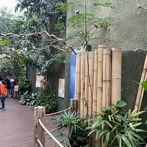 Realm of the Red Ape 221022